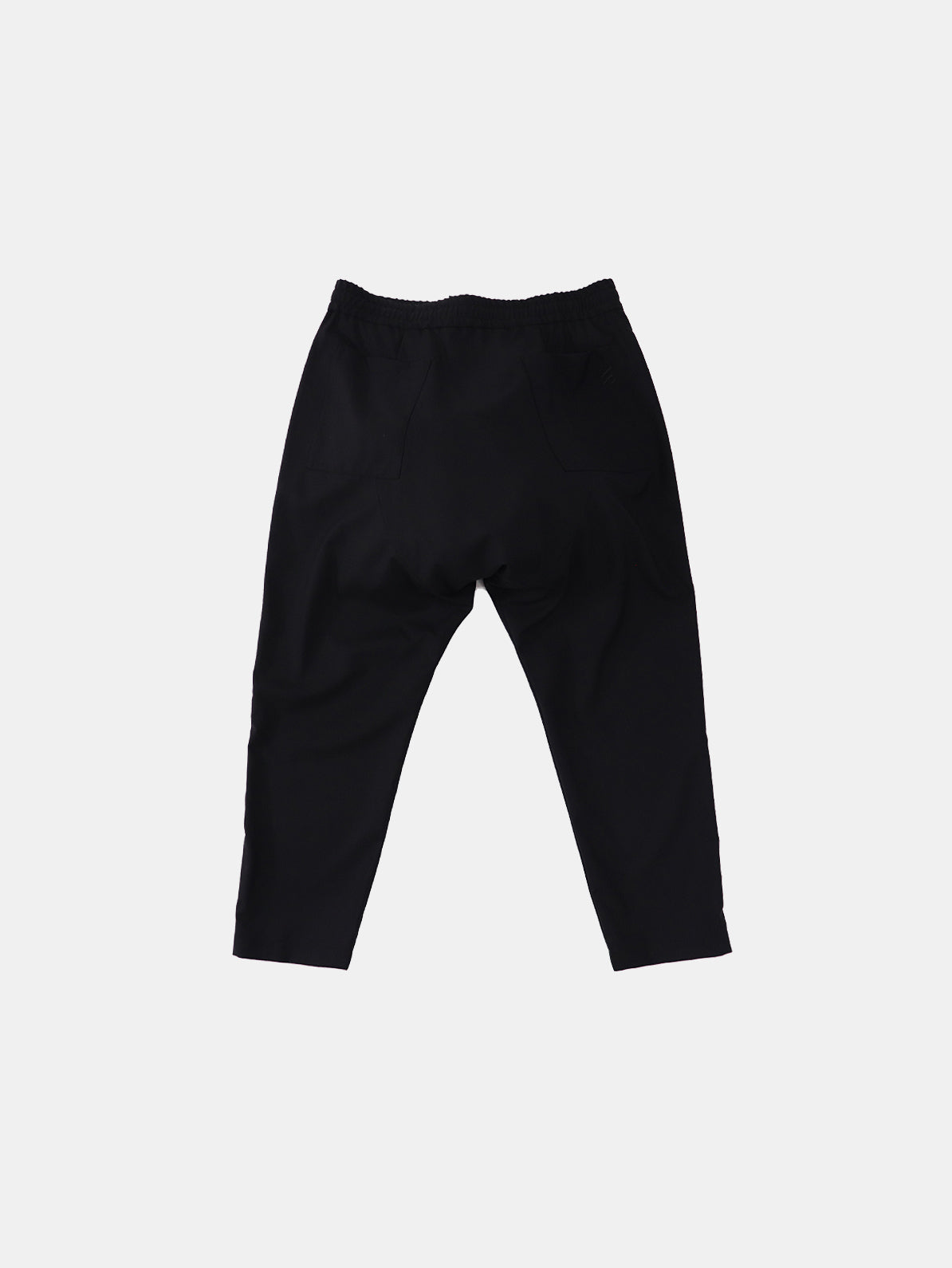 Sarouel Jogger Wool Pants